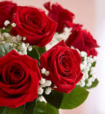 Red Roses Bouquet