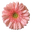 Blooms by Marie logo