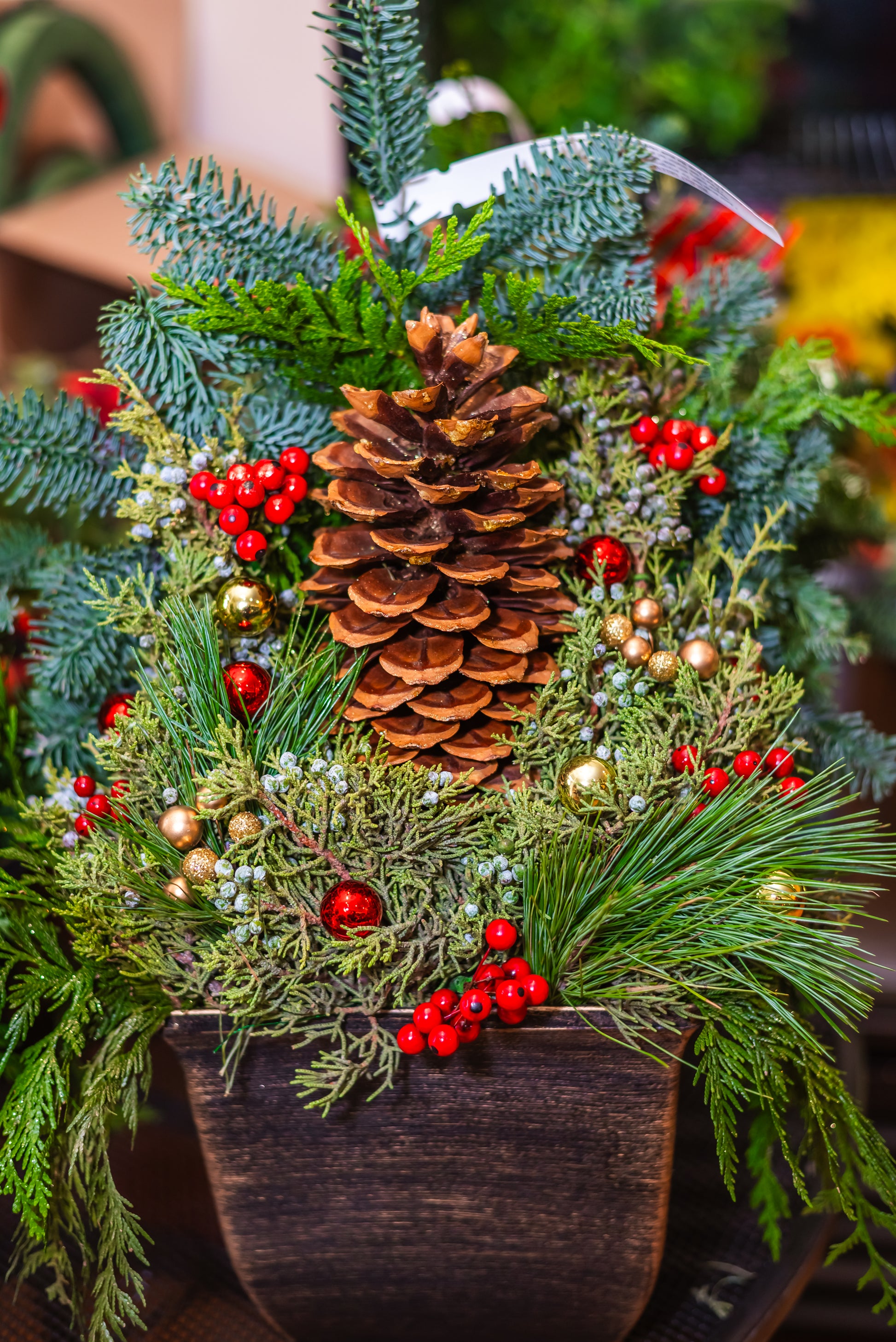 pine cone plant pot Holly and Pinecone Porch Pot