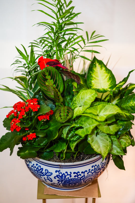 Christmas Dish Garden