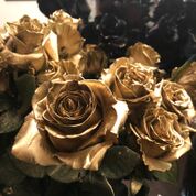 Old Gold Roses