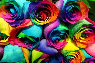 12 Tie Dye Roses in a Vase