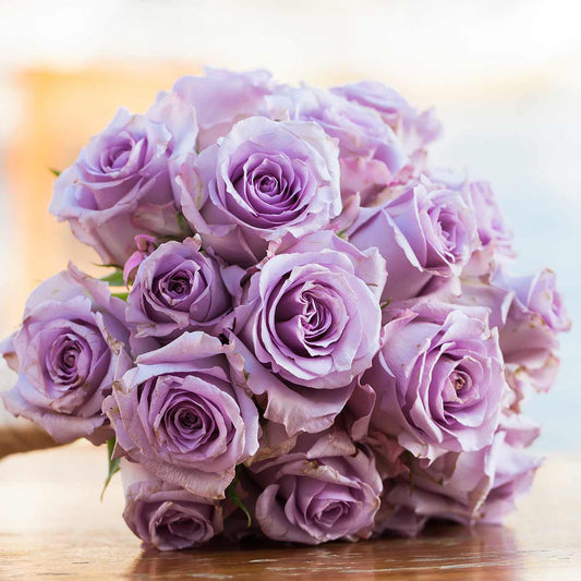 6 Lavender Roses in a Vase