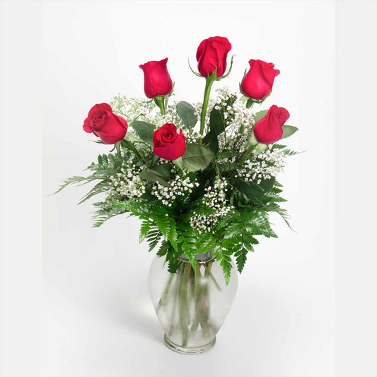 6 Red Roses in a Vase